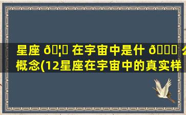 星座 🦁 在宇宙中是什 🐘 么概念(12星座在宇宙中的真实样子)